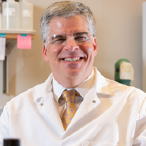 Andrés J. García's profile picture