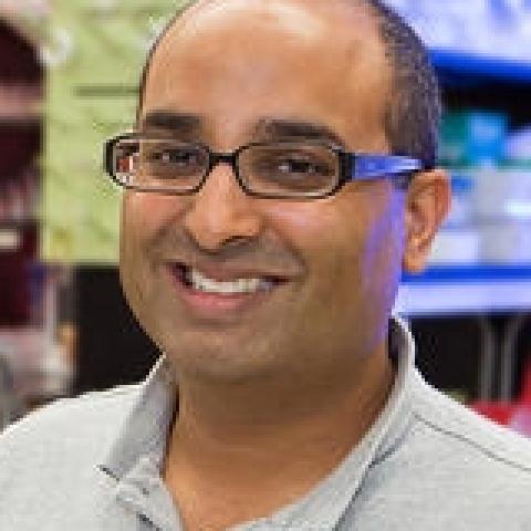 Anant Paravastu's profile picture