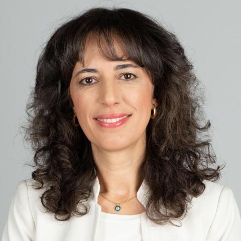 Pinar Keskinocak's profile picture