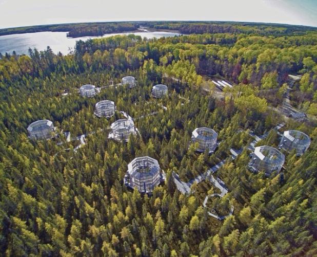 An aerial photo of the SPRUCE experiment.