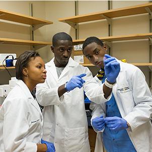 Three researchers in lab coats and gloves collaborating closely while examining a small sample in a laboratory.